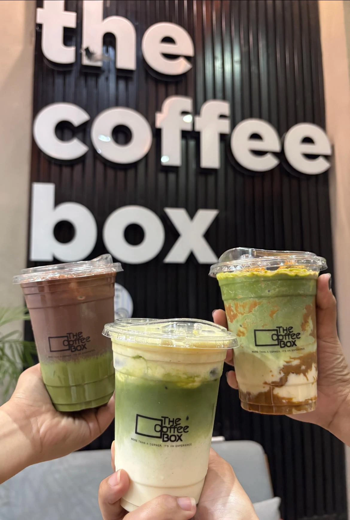 The Coffee Box 5