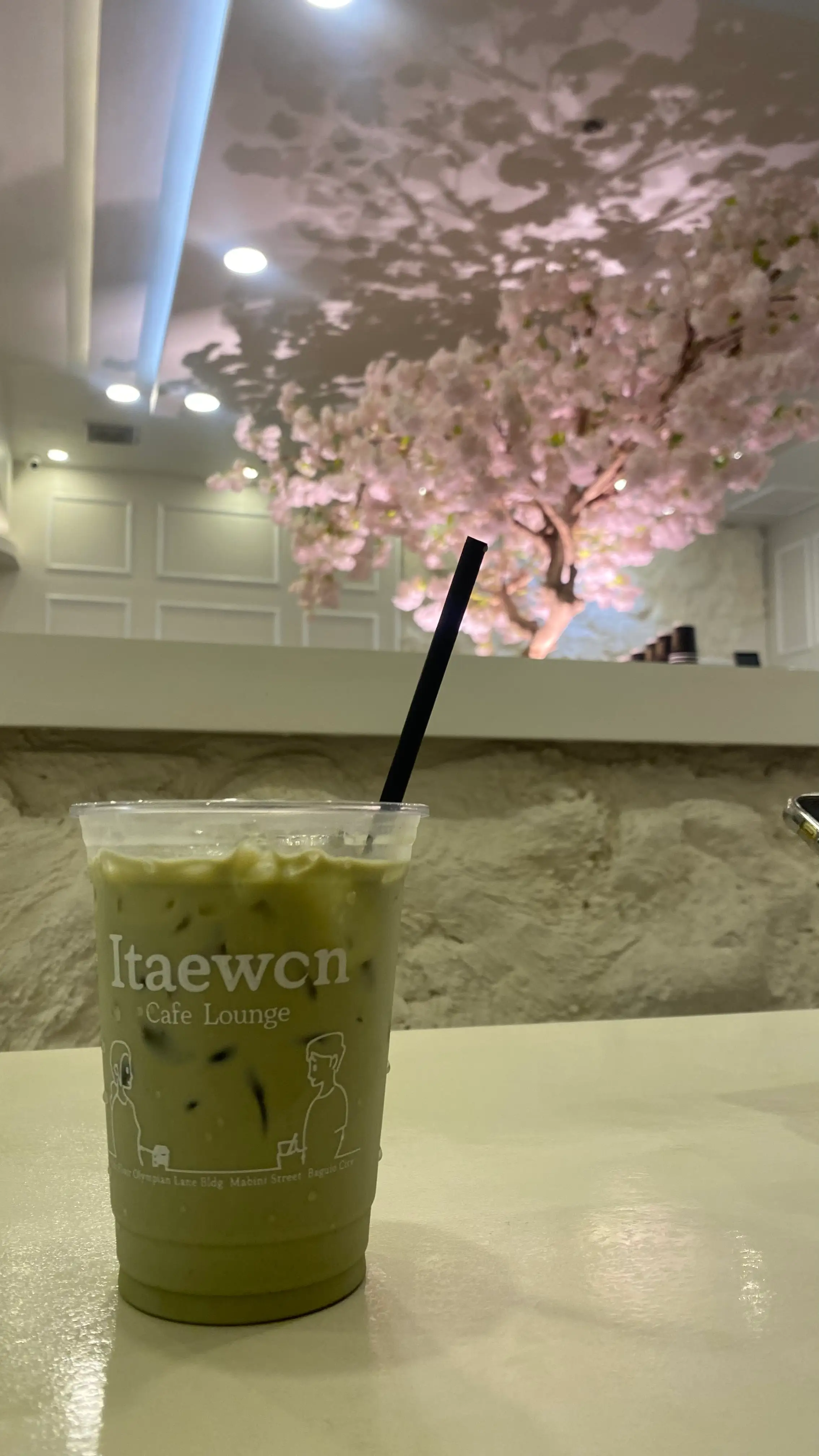Matcha Photography 7
